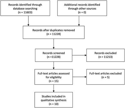 Frontiers | The Effects Of Hormonal Contraceptives On The Brain: A ...